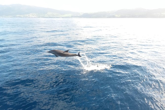Sail/Snorkel Adventure from Sapphire Marina,STT NO CROWDS~ 6 GUEST MAX - Who this tour fits (and who should think twice)