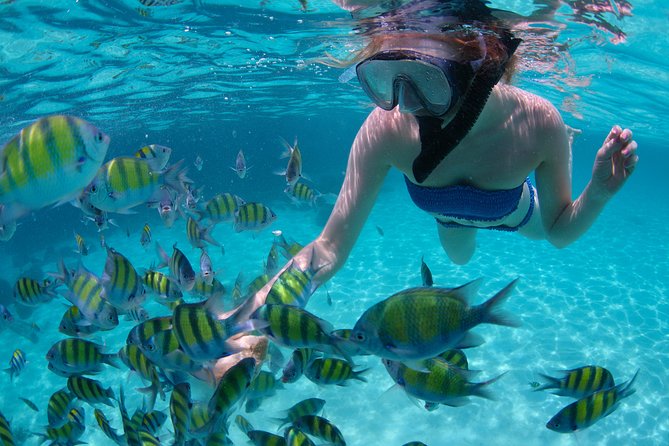Sail/Snorkel Adventure from Sapphire Marina,STT NO CROWDS~ 6 GUEST MAX - Sapphire Beach to St John: sailing time is the point