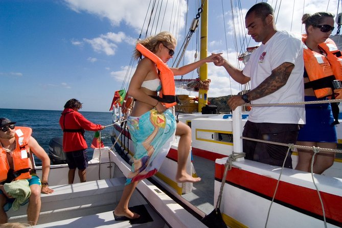 Sail, Swim & Tapas - Ponta da Piedade Caves: Why the Small Boat Part Matters