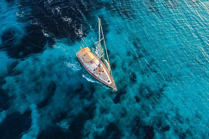 Sail Taste Connect a Semi Private Sailing with Seafood and Wine - Price and value: what $192.29 covers