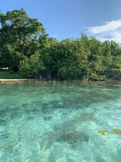 Sailboat tour in the seven colors lagoon of Bacalar - Where you meet and how the tour starts fast