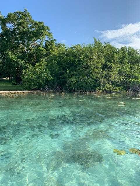 Sailboat tour in the seven colors lagoon of Bacalar - Cenotes Negra and Esmeralda: what you’ll see from the lagoon