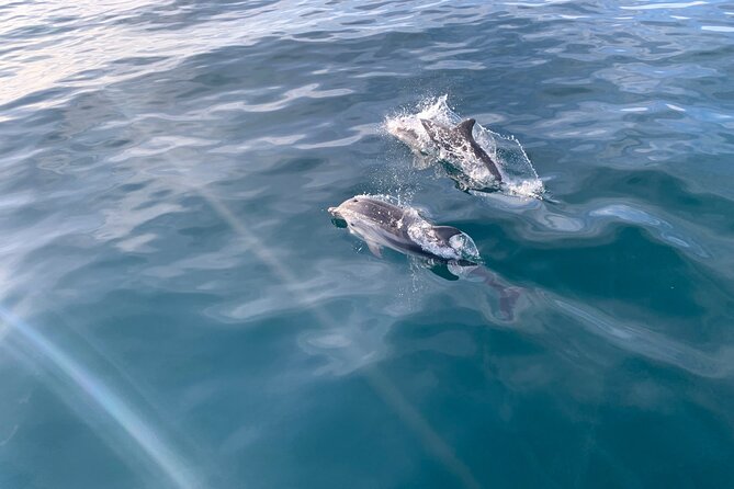 Sailing Adventure: Sailing, Dolphins and Relaxation with Drinks - Key things I’d zoom in on before booking