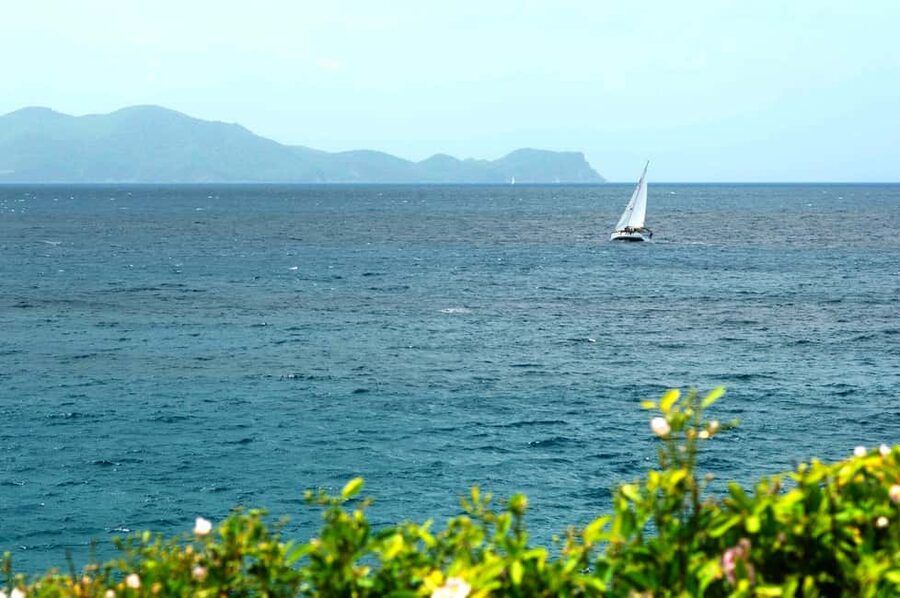 Sailing and Snorkeling Day Tour to Les Saintes - Price and value: what you get for $153