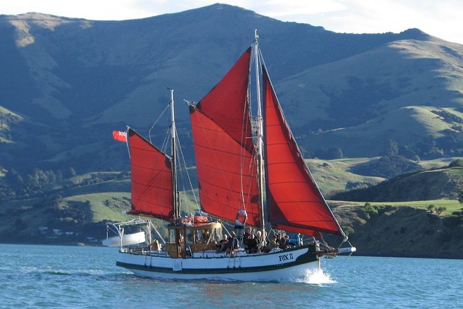 Sailing and Wildlife Tour Akaroa Fox II Sailing - Key things that make Fox II’s Akaroa wildlife sail special