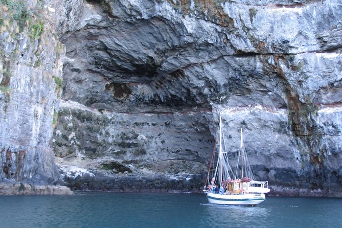 Sailing and Wildlife Tour Akaroa Fox II Sailing - Daly’s Wharf to Akaroa Harbour: what “2 hours 45” feels like