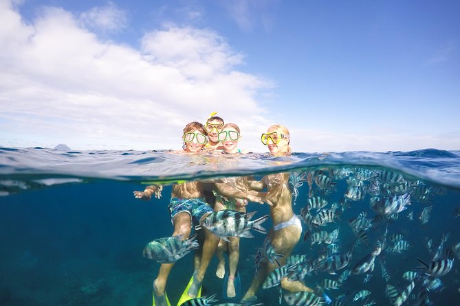 Sailing Catamaran Cruises - Key highlights from this Madiana catamaran cruise