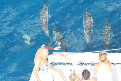 Sailing Catamaran Cruises - The real vibe: relaxed catamaran cruising on Mauritius’s west coast