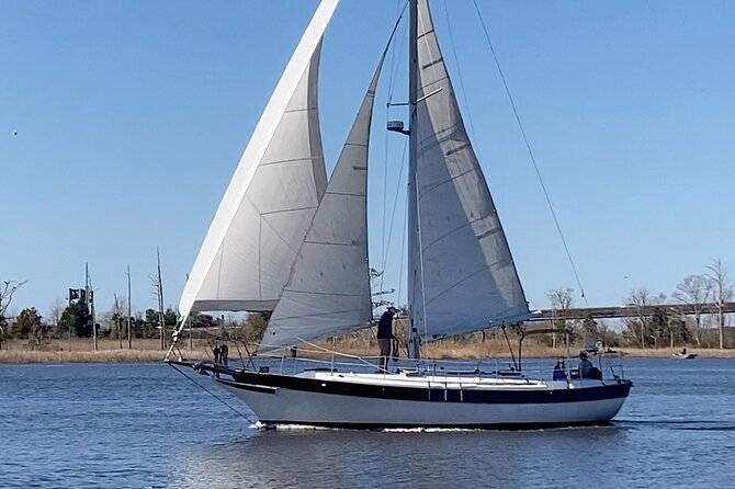 Sailing Charters in Wilmington - Hands-on sailing: steering, sails, and a real “kids welcome” format