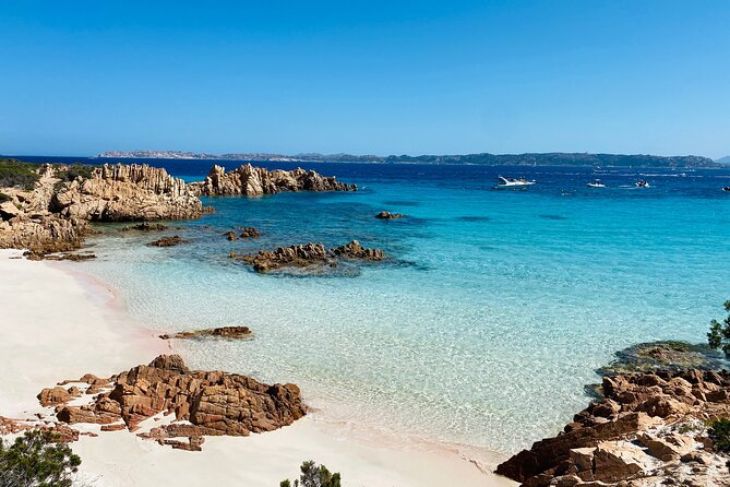 Sailing Cruise in Maddalena Archipelago from Maddalena - Key Highlights You Should Know Before You Go