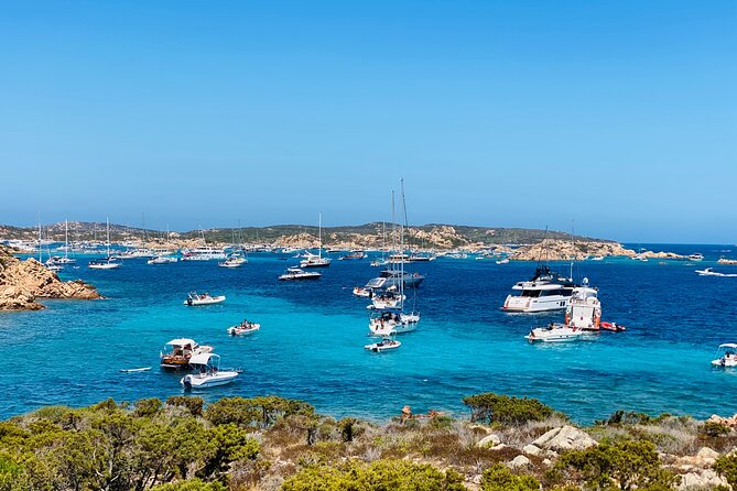 Sailing Cruise in Maddalena Archipelago from Maddalena - Sailing Day on La Maddalena: What Makes This Cruise Worth Your Time