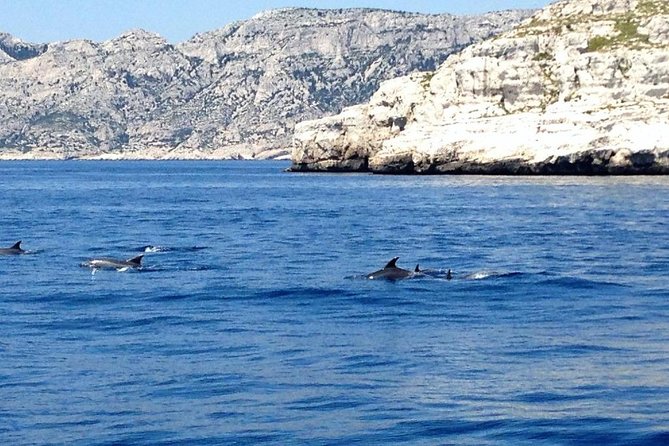Sailing day in the heart of the Calanques - Lunch in the cove: why the meal is part of the experience