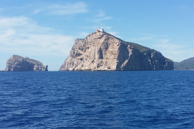 Sailing day trip on Tall Ship Andrea Jensen with Lunch and Wine - Andrea Jensen from Alghero: the kind of boat that changes the day