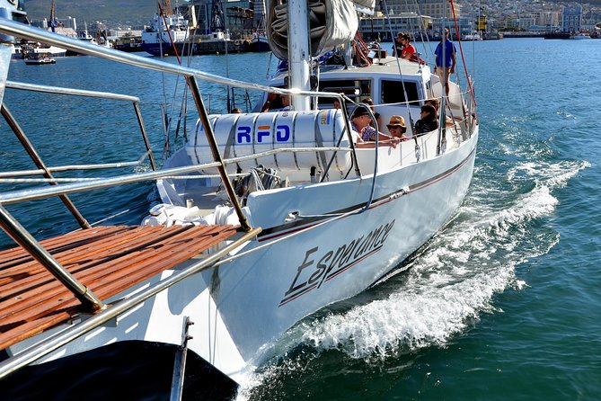 Sailing in The Bay by Catamaran (One Hour) - Price and value: what $21.28 buys you for a full hour on the water