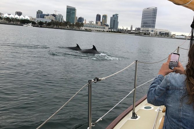 San Diego Bay Sail Aboard a Vintage Yacht Beer and Wine Included - Captain Phil and the Small-Group Factor (Why It Feels Personal)