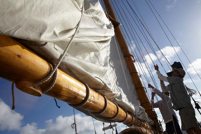 San Diego Bay Sail Aboard a Vintage Yacht Beer and Wine Included - Weather Reality Check: When Sunset Plans Meet the Bay