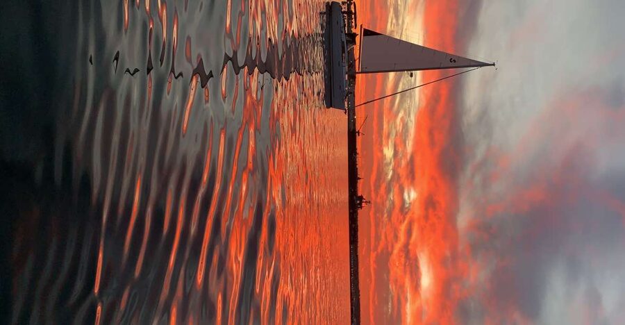 San Diego: San Diego Bay Sunset & Daytime Sailing Experience - A San Diego Bay sunset sail that trades crowds for calm