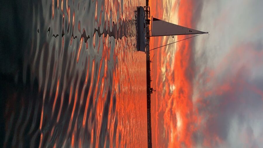 San Diego: San Diego Bay Sunset & Daytime Sailing Experience - Downtown San Diego skyline: watch it change for real