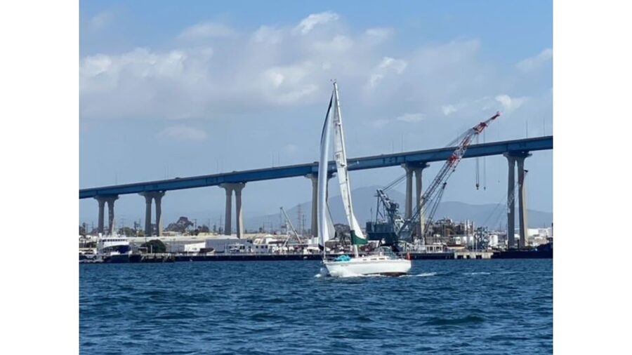 San Diego: Sunset and Day Sailing Excursion with Drinks - Wildlife watch in San Diego Bay: spotting dolphins and sea lions without stress