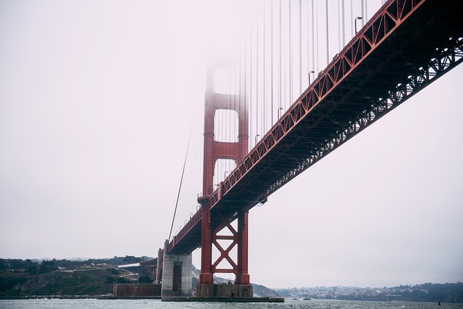 San Francisco Bay Sailing Cruise - Alcatraz Island and wildlife: the sights that make Bay sailing feel real