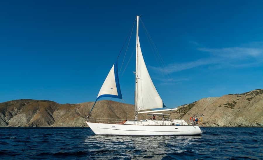 Santa Marta: Sailing Tour to Tayrona Park with Luis' Team - Key Highlights Worth Your Attention