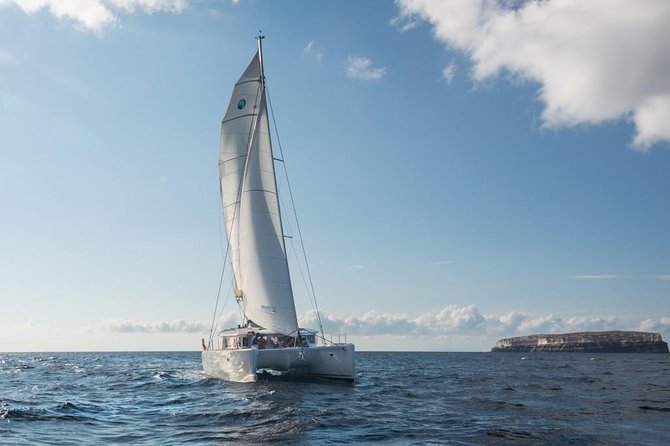 Santorini Caldera Sailing Tour with BBQ Lunch and Drinks - BBQ lunch on board: seafood, steak, and unlimited drinks