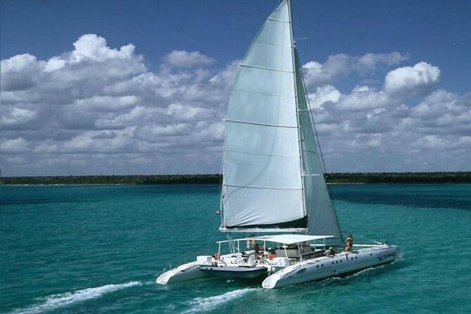 Saona Island Catamaran Adventure with Free Food and Transportation - Key Points to Know Before You Go