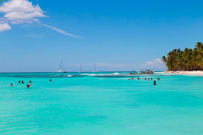 Saona Island Catamaran Adventure with Free Food and Transportation - Price and Value: Is $70 Worth It in the Real World?