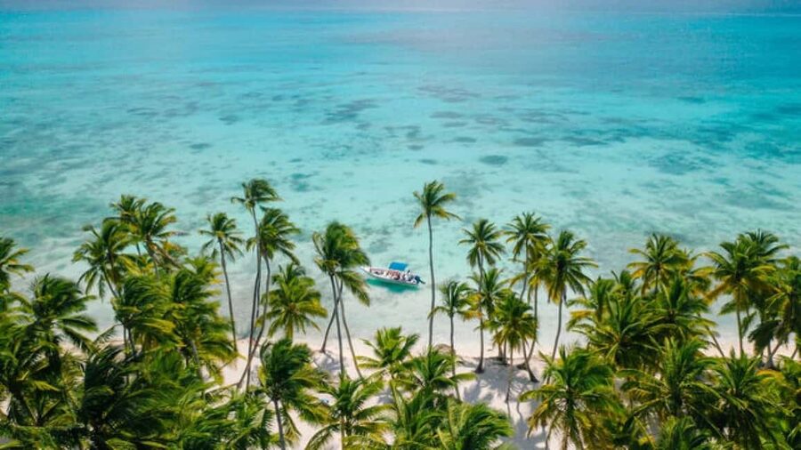 Saona Island: Catamaran/Speedboat Tour to a Dream Beach - Saona Sail & Speed: Key things I’d watch for