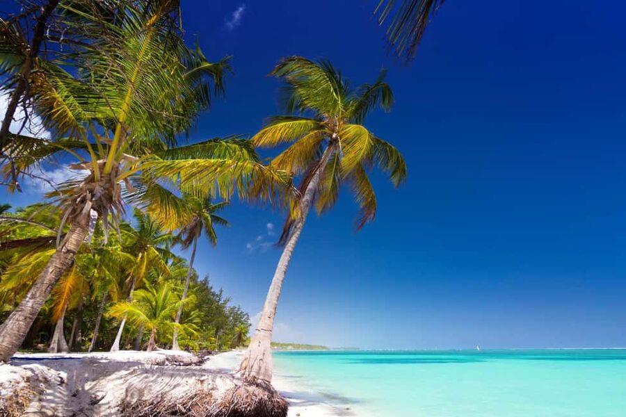 Saona Island: Catamaran/Speedboat Tour to a Dream Beach - Getting back to your hotel: what “7–10 hours” really feels like