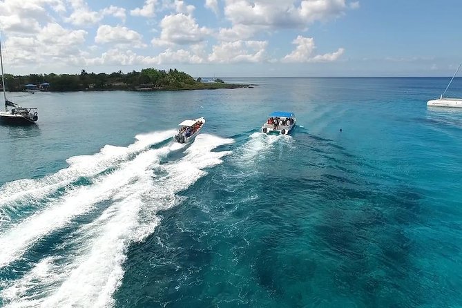 Saona Island Excursion by Catamaran and Speedboat - Saona Island time: loungers, games, and that postcard water