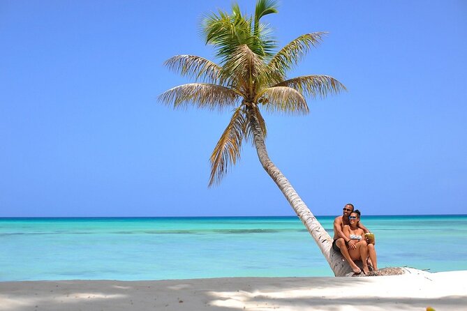 Saona Island Full Day Excursion from Punta Cana + Catamaran Party - Buffet lunch on the island: good, bland, or chaotic