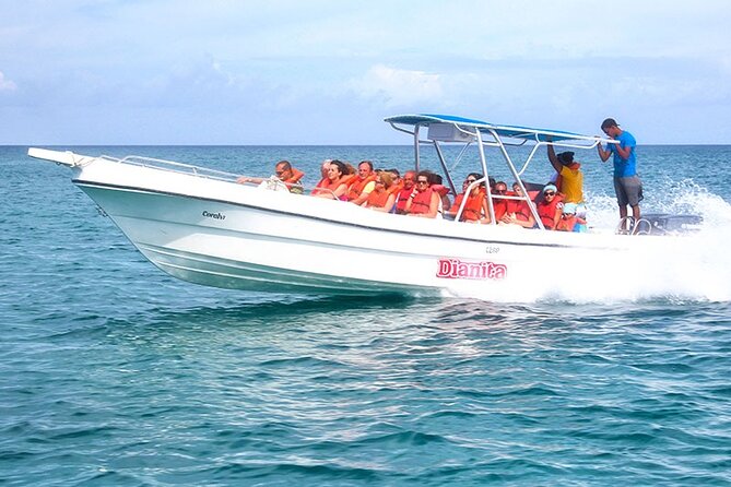 Saona Island Full Day Excursion from Punta Cana + Catamaran Party - Crowds and comfort: the long day test