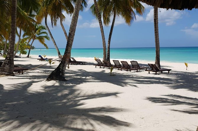 Saona Island small group and relax - luxury catamaran - Saona Island beach time: chairs, drinks, and a calmer landing