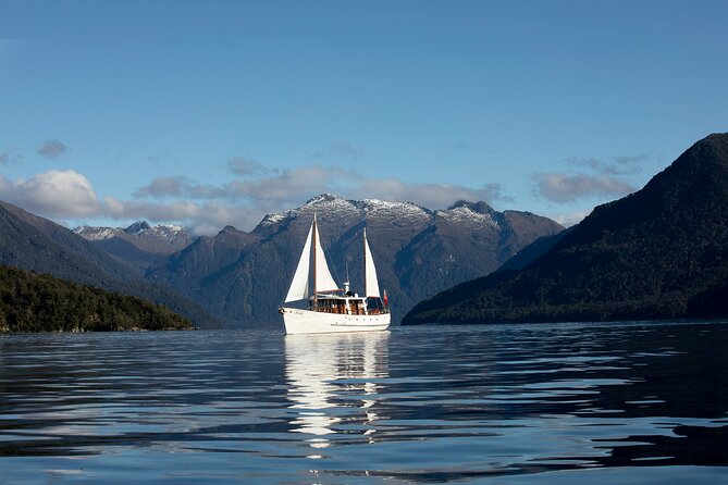 Scenic Cruise & Guided Walk on Historic Motor Yacht Lake Te Anau - Key things that make this tour worth your time