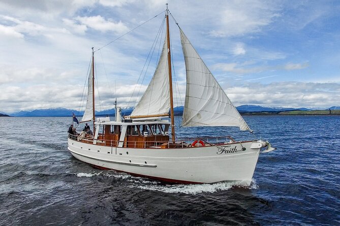 Scenic Cruise & Guided Walk on Historic Motor Yacht Lake Te Anau - The 3-hour rhythm: cruise out, tea midstream, walk onshore