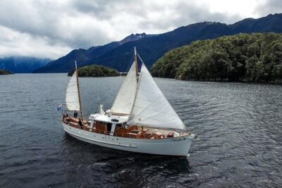 Scenic Cruise & Guided Walk on Historic Motor Yacht Lake Te Anau - Stop 1: Fiordland National Park (Te Wahipounamu) forest walk with mountain views