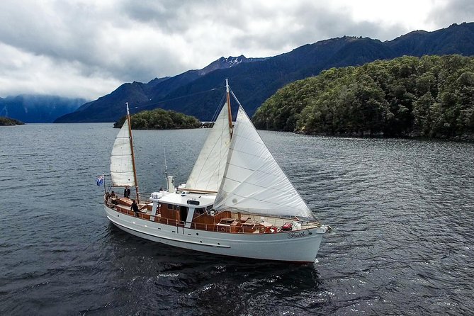 Scenic Cruise & Guided Walk on Historic Motor Yacht Lake Te Anau - Stop 1: Fiordland National Park (Te Wahipounamu) forest walk with mountain views