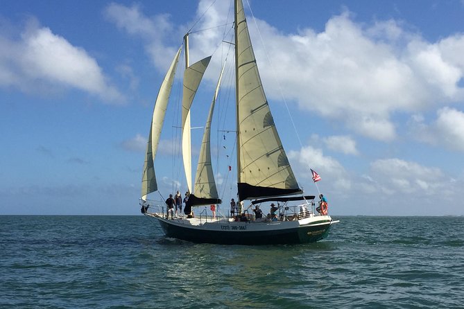 Schooner Clearwater- Sailing Cruise-Clearwater Beach - Meeting at Causeway Blvd: check in early and get your bearings fast
