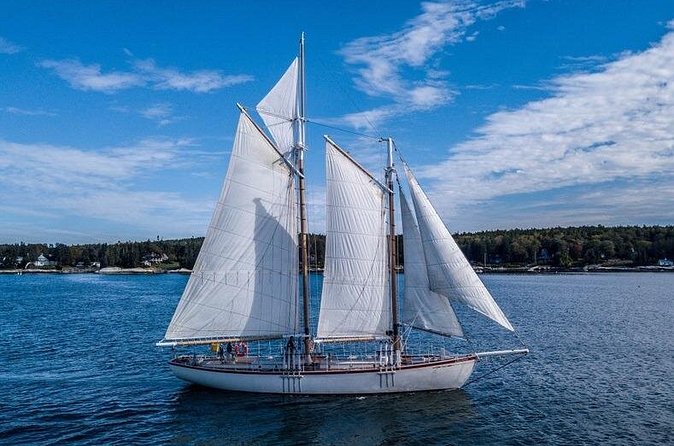 Schooner Eastwind 2 Hour Day Sail in Boothbay Harbor - What You’ll Likely See: Lighthouses, Islands, and Wildlife Odds