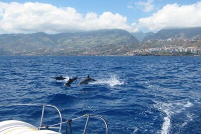Seaborn Catamaran trips - The crew and onboard vibe: comfortable catamaran time, not a hard-core expedition