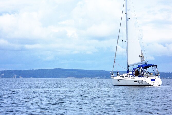 Seattle's Best Private Sailing Adventure on the Puget Sound BYOB! - Olympic Mountains and Rainier: the payoff of good visibility