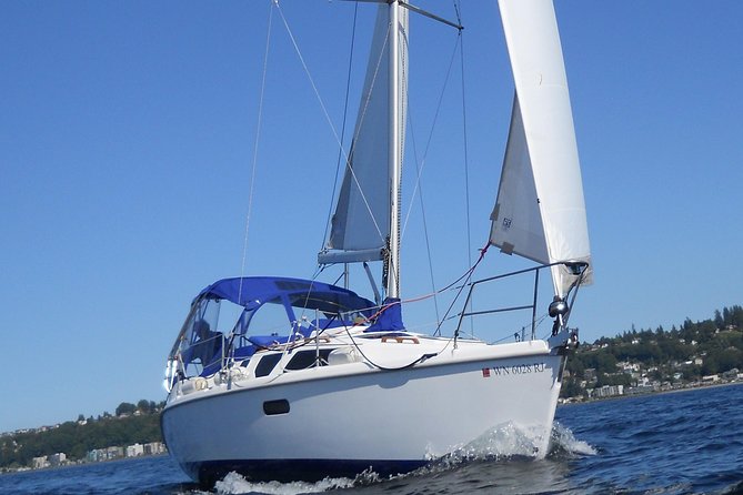 Seattle's Best Private Sailing Adventure on the Puget Sound BYOB! - Wildlife spotting on deck: how to make it actually happen