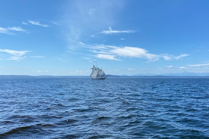 Seattle Sailing Harbor Tour - Where you start: Pier 66 Bell Harbor and 2203 Alaskan Way