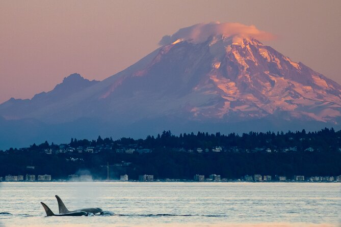 Seattle Sunset Sail BYOB - What to Pack for Seattle Windchill and Photo Stops