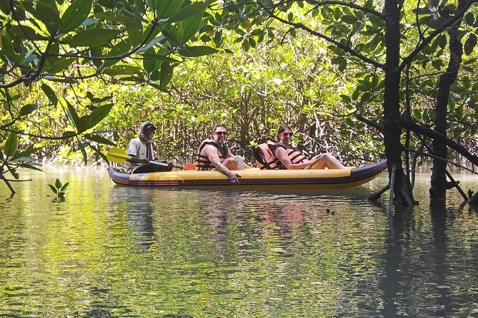 Secrets Of Phang Nga Bay Boat Tour From Phuket By Phuket Sail Tours - Canoeing in mangroves and sea caves: the part you’ll remember later