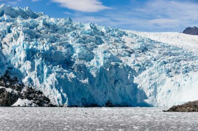 Seward: Kenai Fjords National Park Catamaran Cruise w/Lunch - Getting oriented in Seward: check-in and what to expect at the dock