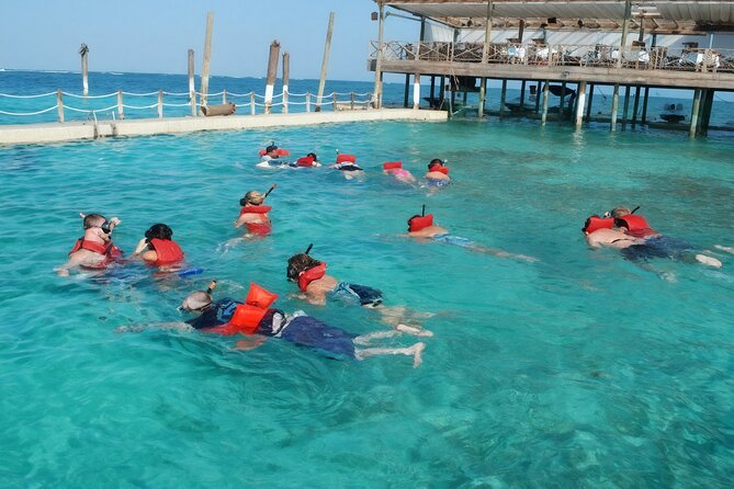 Sharks & Stingrays Snorkeling in Punta Cana with Parasailing - Price and Value at $169: What You’re Paying For (and Why It Adds Up)
