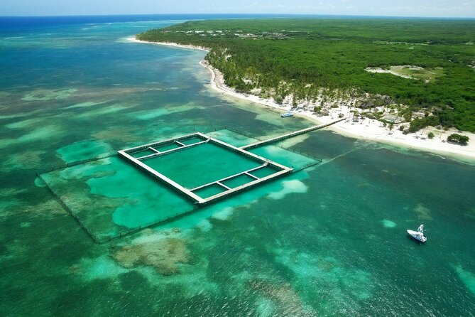 Sharks & Stingrays Snorkeling in Punta Cana with Parasailing - Weather, Wind, and Day-of Limits: The Stuff That Can Change Your Plan
