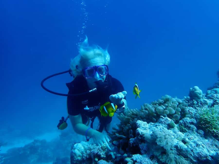 Sharm El Sheikh: Day sail to White island and Ras Mohamed - The yacht ride: comfortable, not cramped